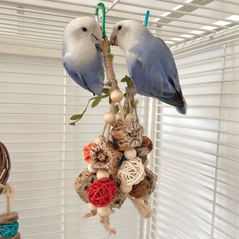 FurryFusion Jouet à mâcher pour petits perroquets