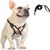 IntiMeg Harnais et laisse pour chien