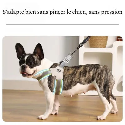 Petopia Harnachement en forme de Y pour chien