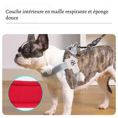 Petopia Harnachement en forme de Y pour chien