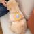 Petopia Harnais de traction avec sac à dos pour chien et chat