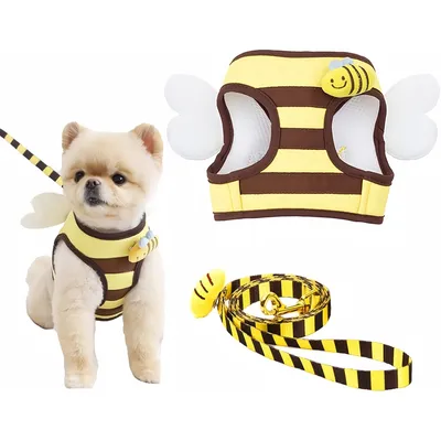 ZenPets Conjunto de arnés y correa Bee Delight para perros