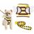 ZenPets Bee Delight Harness And Leash Set Pour Chiens