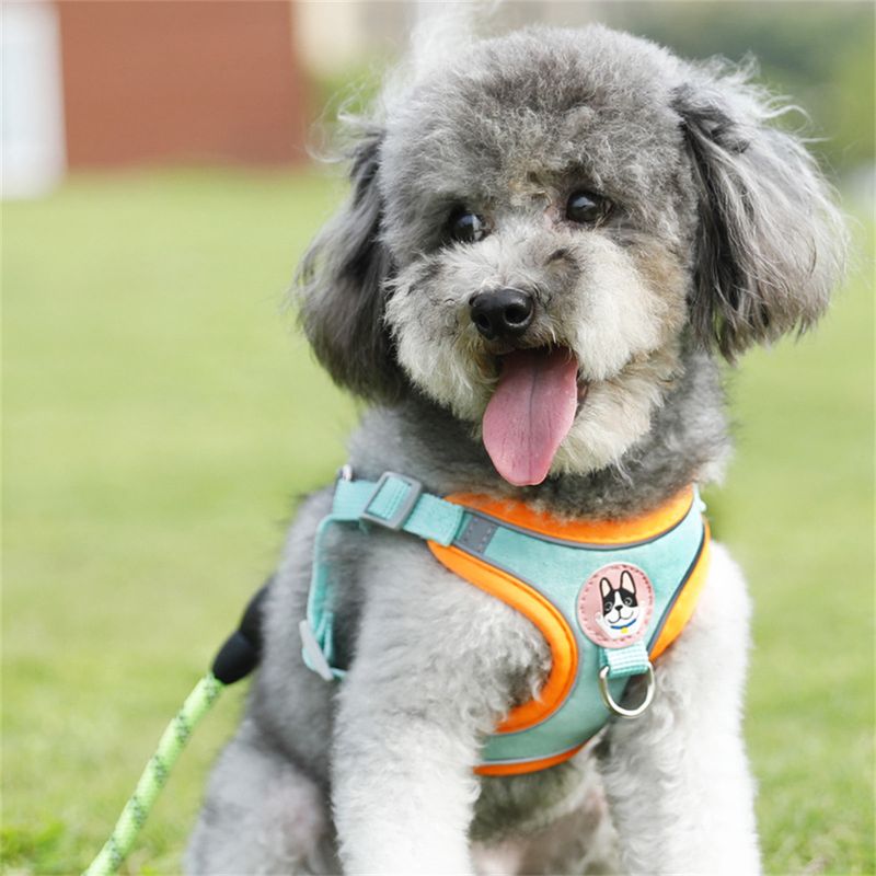 Petopia Harnachement pour chien en style gilet