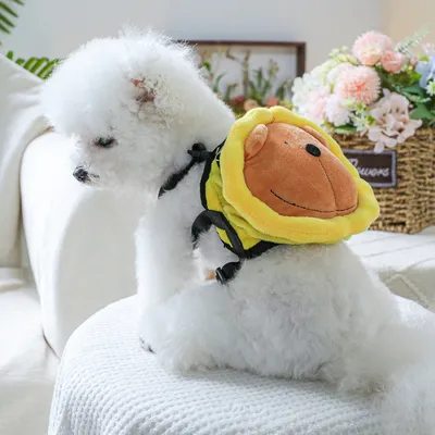 Petopia Mochila para perros con cuerda de tracción