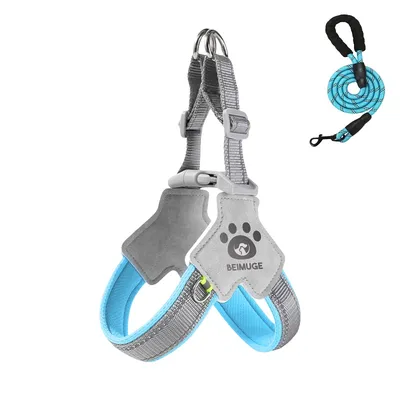 Petopia Harnachement en forme de Y pour chien Petopia Harnachement en forme de Y pour chien