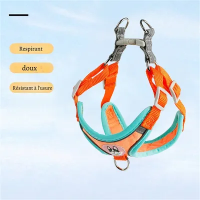 Petopia Harnachement pour chien en style gilet
