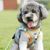 Petopia Harnachement pour chien en style gilet
