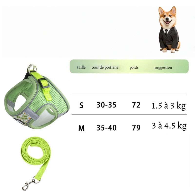 Petopia Harnachement de traction anti - échappement pour chien