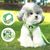 Petopia Harnachement de traction anti - échappement pour chien