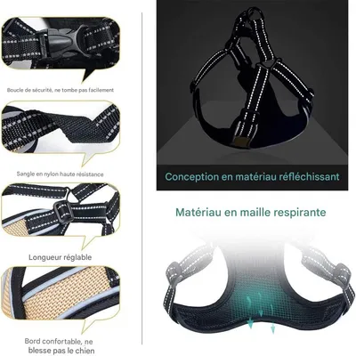 IntiMeg Harnais et laisse pour chien