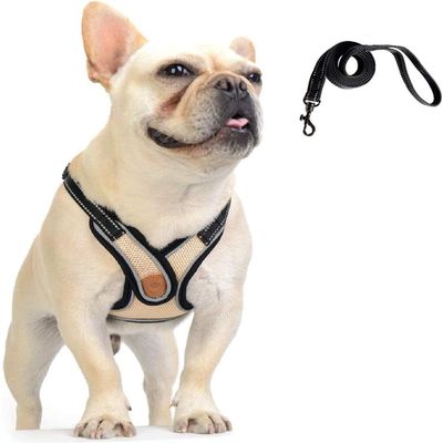 IntiMeg Harnais et laisse pour chien