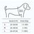ZenPets Bee Delight Harness And Leash Set Pour Chiens