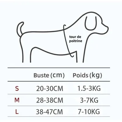 ZenPets Bee Delight Harness And Leash Set Pour Chiens