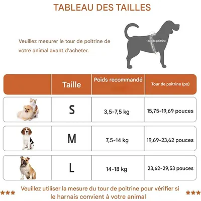 IntiMeg Harnais et laisse pour chien