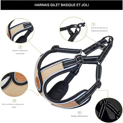 IntiMeg Harnais et laisse pour chien