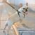 IntiMeg Harnais et laisse pour chien