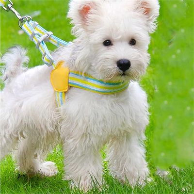 Petopia Harnachement pour chien en style gilet