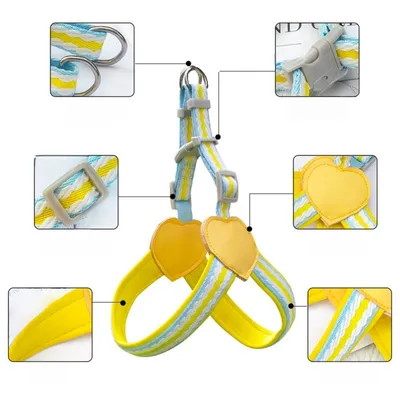 Petopia Harnachement pour chien en style gilet