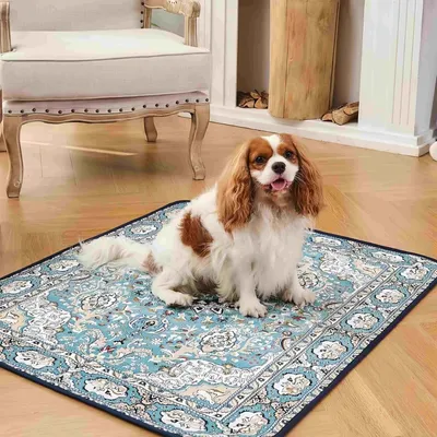 FurryFusion Lot de 2 coussinets anti-pipi pour chien style bohème