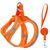 ZenPets Harnois de traction pour chien et chat