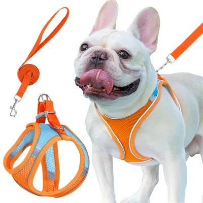 ZenPets Harnois de traction pour chien et chat