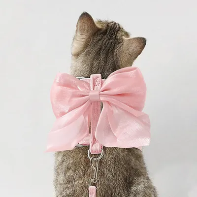 UAMLY Harnais pour chat avec laisse, nœud papillon rose