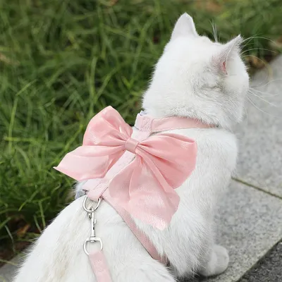 UAMLY Harnais pour chat avec laisse, nœud papillon rose