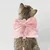 UAMLY Harnais pour chat avec laisse, nœud papillon rose