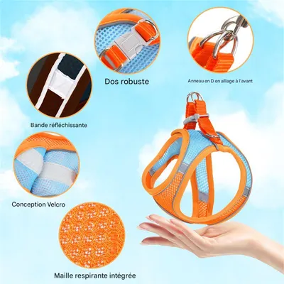 ZenPets Harnois de traction pour chien et chat