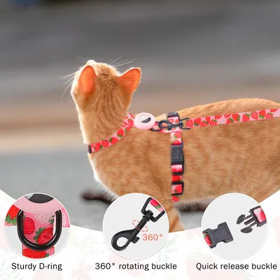UAMLY Ensemble harnais et laisse anti-fuite pour chat