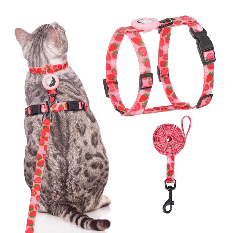UAMLY Ensemble harnais et laisse anti-fuite pour chat