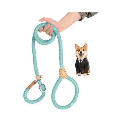 Petopia Laisse pour animaux de compagnie