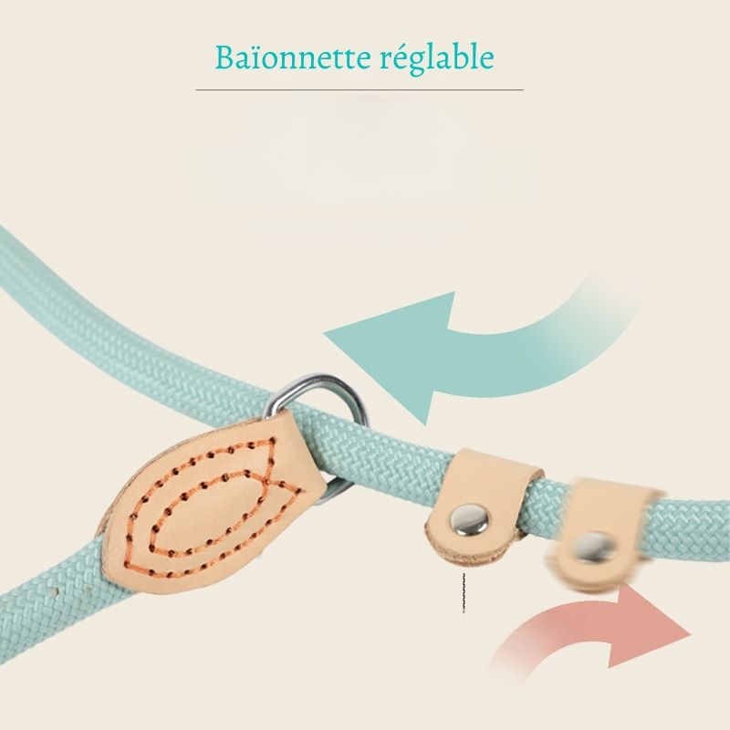 Petopia Laisse pour animaux de compagnie