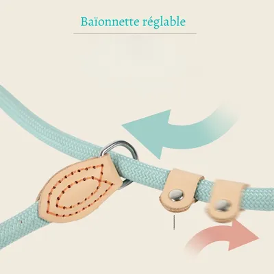 Petopia Laisse pour animaux de compagnie Petopia Laisse pour animaux de compagnie