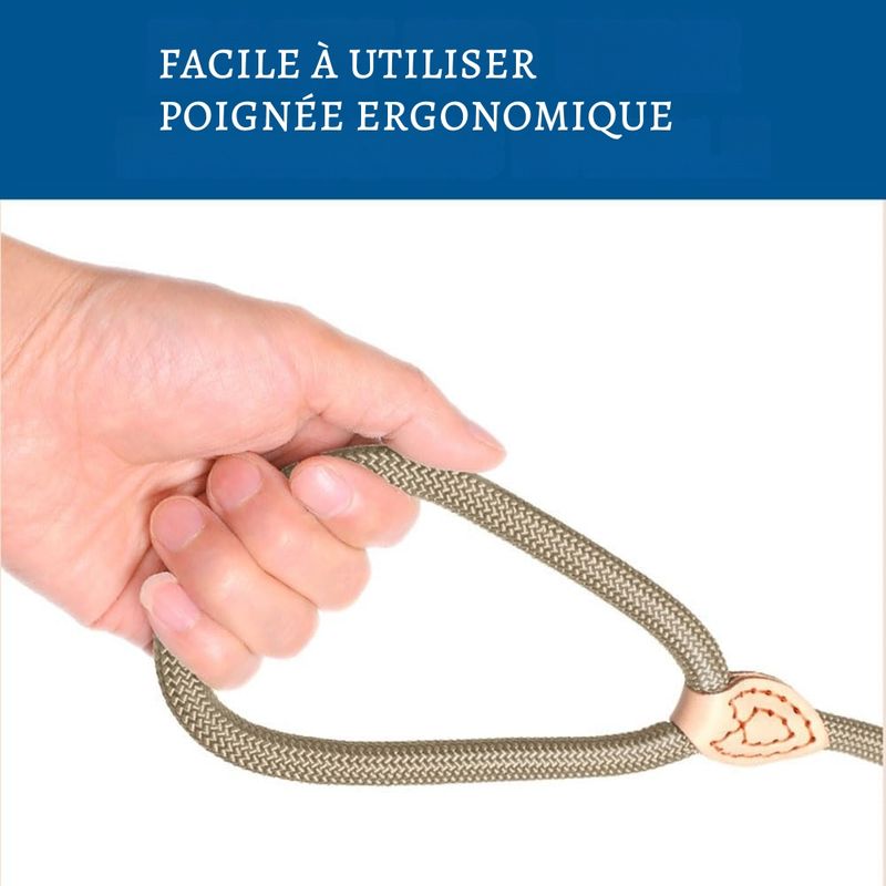 Petopia Laisse pour animaux de compagnie