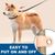 Petopia Laisse pour animaux de compagnie