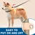 Petopia Laisse pour animaux de compagnie Petopia Laisse pour animaux de compagnie