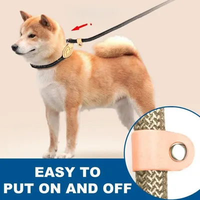 Petopia Laisse pour animaux de compagnie Petopia Laisse pour animaux de compagnie
