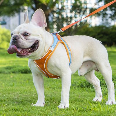 ZenPets Harnois de traction pour chien et chat