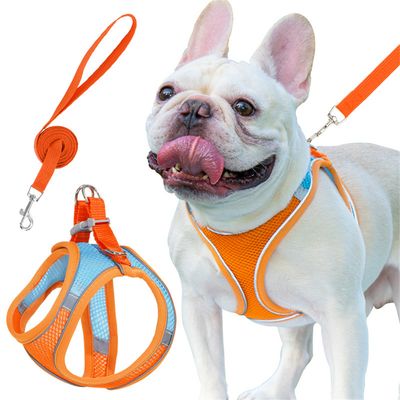 ZenPets Harnois de traction pour chien et chat