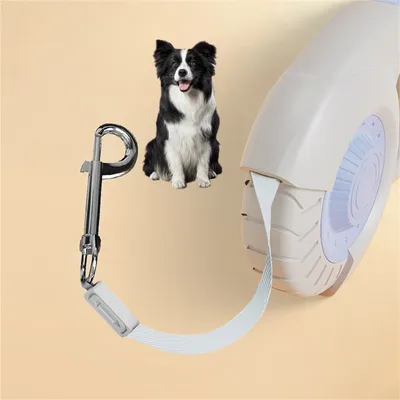 ZenPets Laisse rétractable pour chien ZenPets Laisse rétractable pour chien