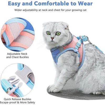 UAMLY Harnais pour chat avec laisse et doublure réfléchissante
