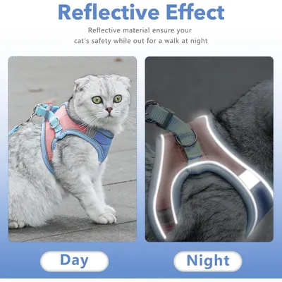UAMLY Harnais pour chat avec laisse et doublure réfléchissante