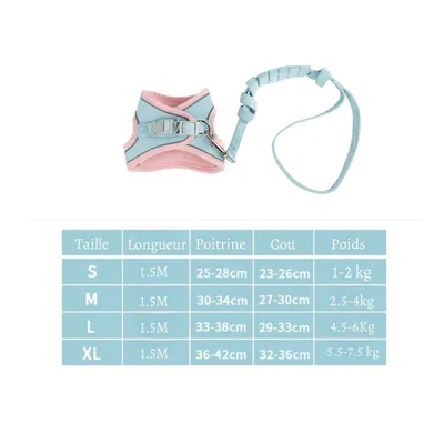 Petopia Laisse pour chat