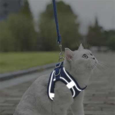 Petopia Laisse pour chat