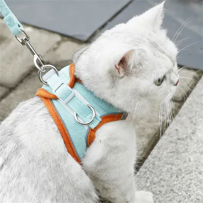 Petopia Laisse pour chat Petopia Laisse pour chat