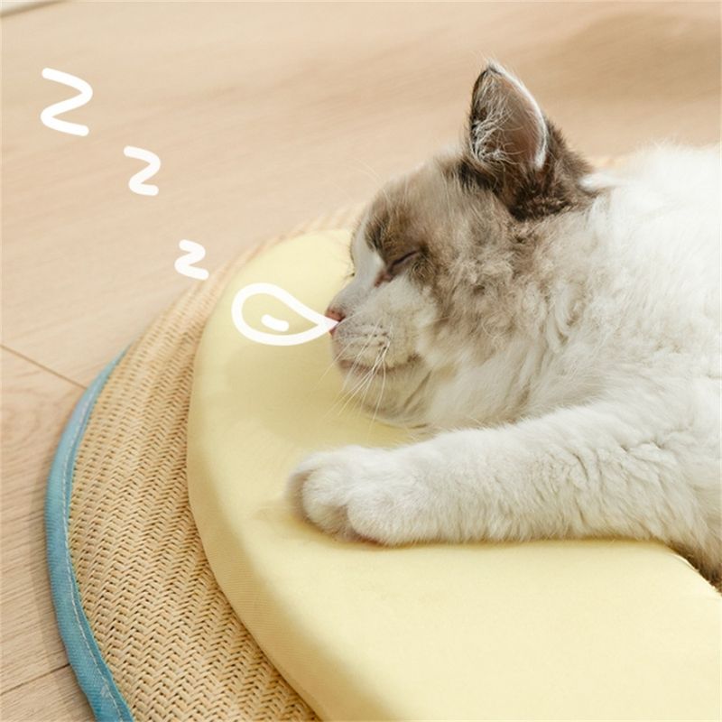 IntiMeg Panier d'été tissé pour chat