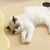IntiMeg Panier d'été tissé pour chat
