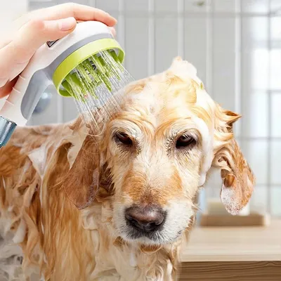 ZenPets Pommeau de douche pour toilettage d'animaux de compagnie